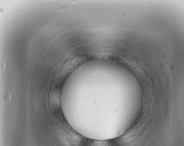 X0000088610240200706011235