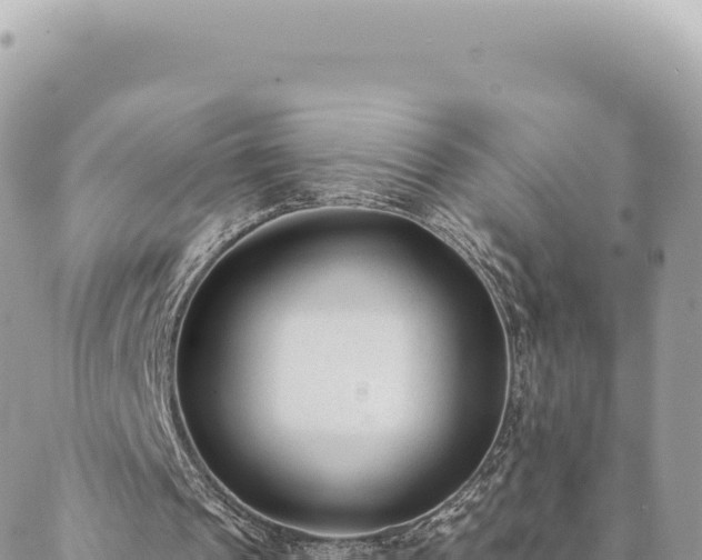 X0000088610241200706011234