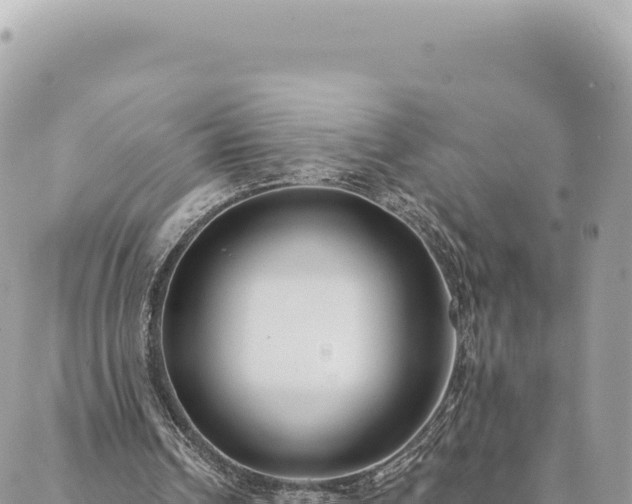 X0000088610242200706011234