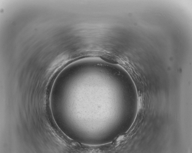 X0000088610243200706011234