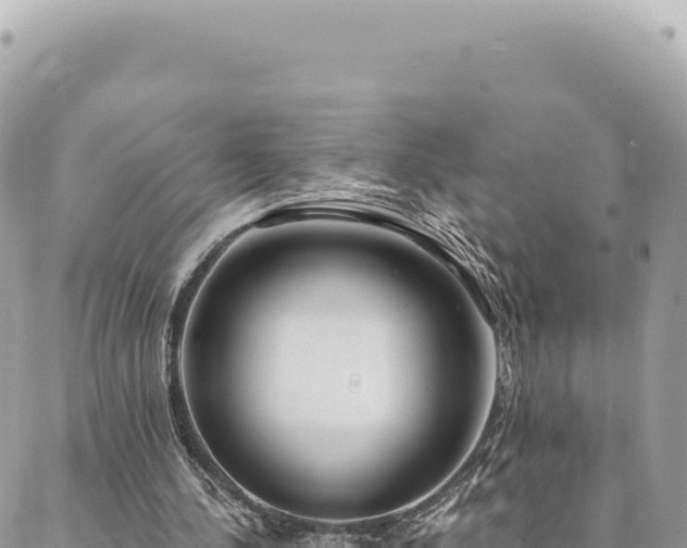 X0000088610244200706011234