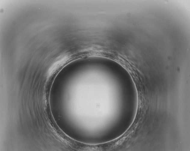 X0000088610245200706011234