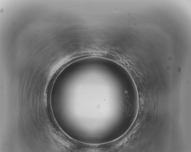 X0000088610246200706011234