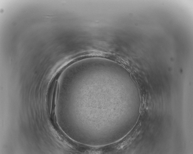 X0000088610247200706011234