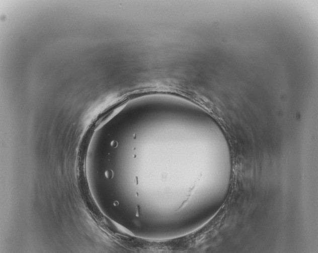 X0000088610248200706011234