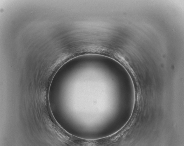 X0000088610249200706011234