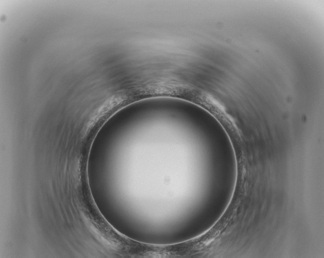 X0000088610250200706011235