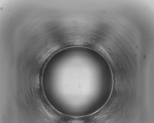 X0000088610251200706011235