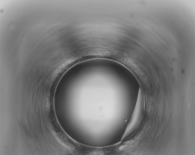 X0000088610252200706011235