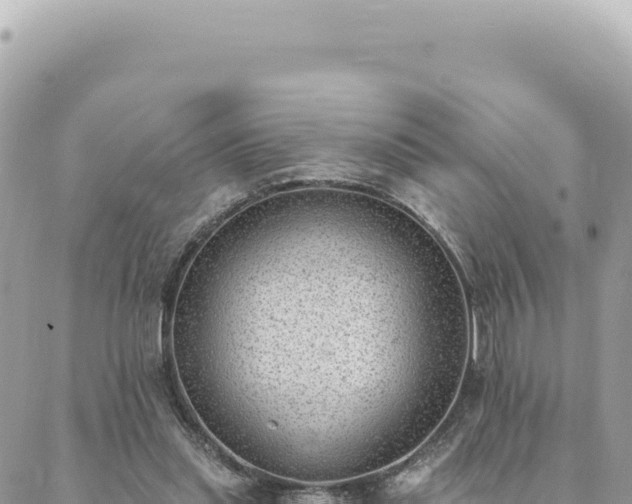 X0000088610253200706011235