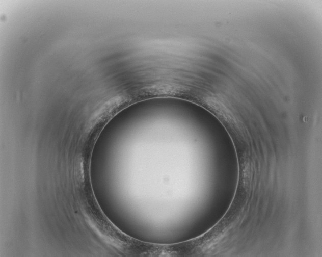 X0000088610254200706011235