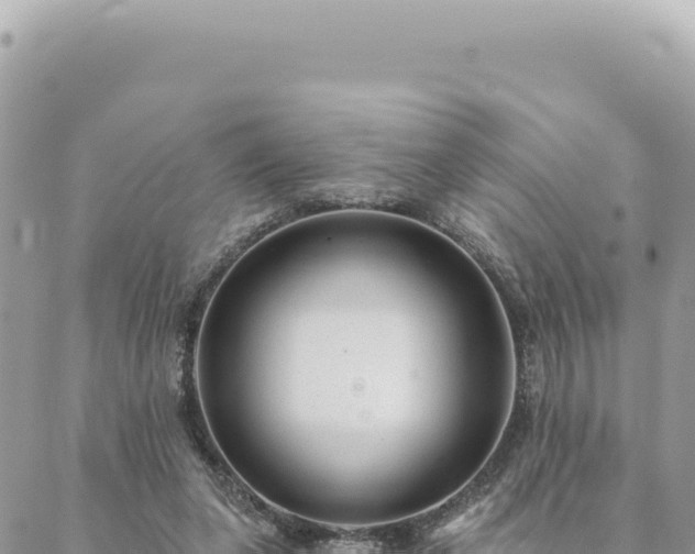 X0000088610255200706011235