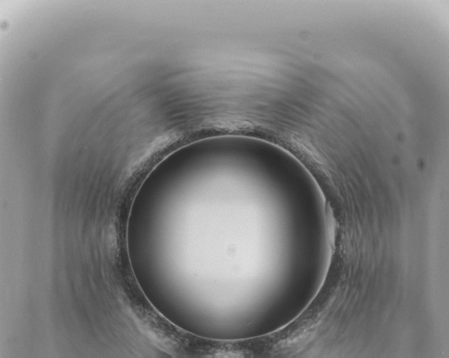 X0000088610256200706011235