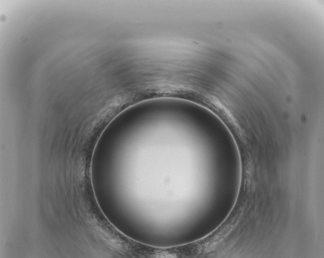 X0000088610257200706011235