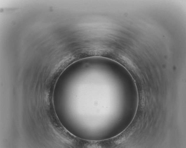 X0000088610258200706011235