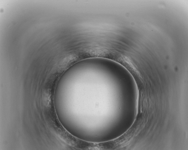 X0000088610259200706011235