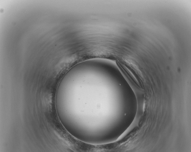 X0000088610260200706011235