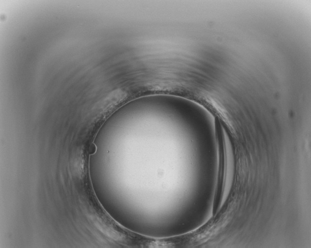 X0000088610261200706011235