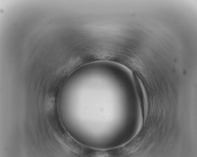 X0000088610263200706011235