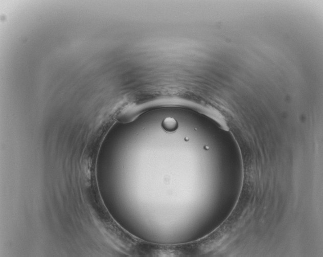 X0000088610264200706011235