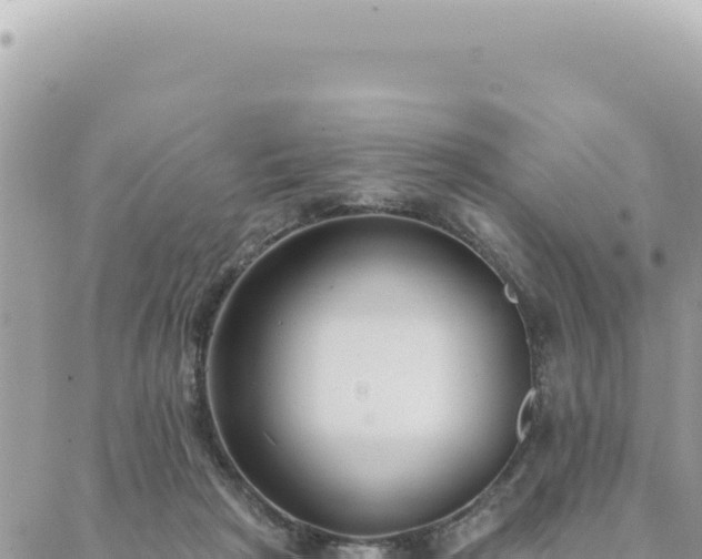 X0000088610265200706011235