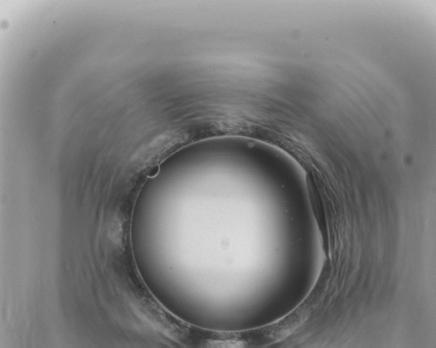 X0000088610266200706011235