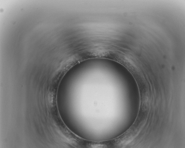 X0000088610268200706011235