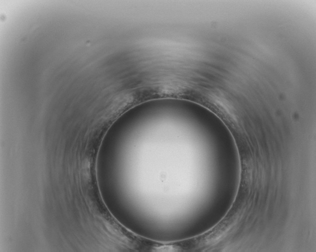 X0000088610269200706011235