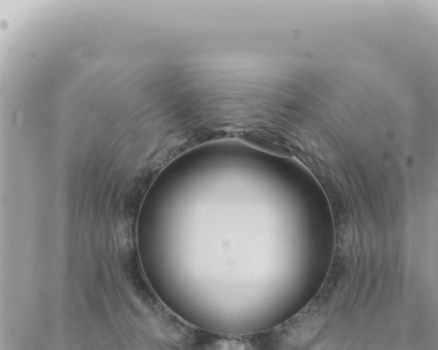 X0000088610272200706011235