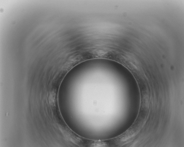 X0000088610274200706011235