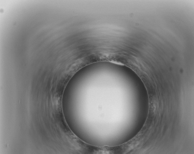 X0000088610276200706011235