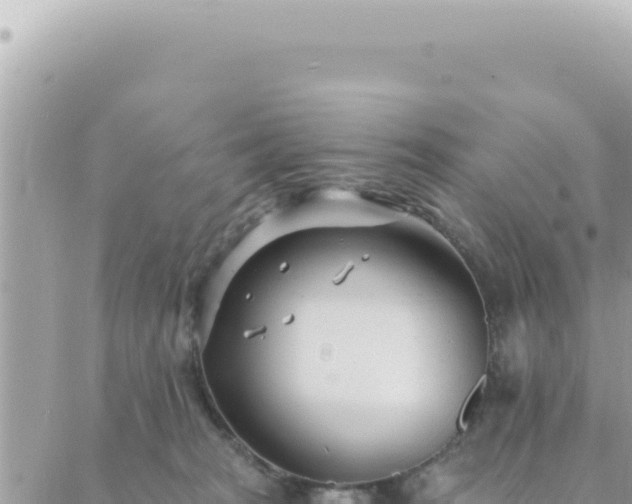 X0000088610277200706011235