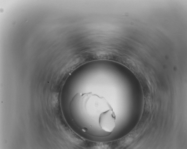 X0000088610278200706011235