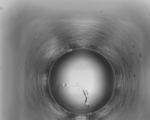 X0000088610279200706011235