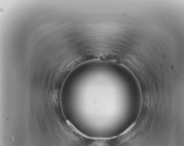 X0000088610280200706011235