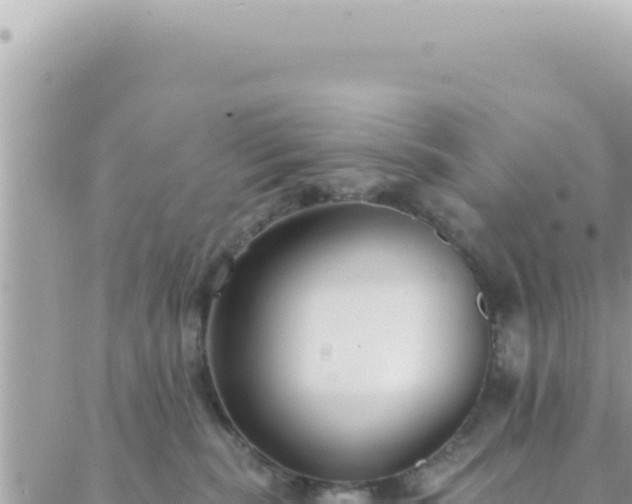 X0000088610283200706011235