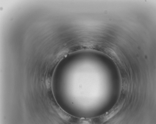 X0000088610285200706011235