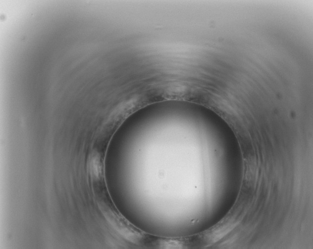 X0000088610287200706011235