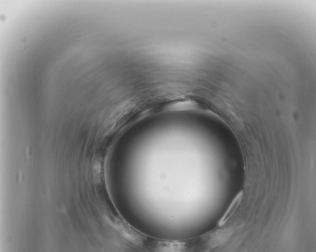 X0000088610288200706011235