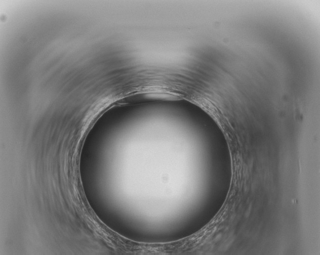 X0000088610289200706011234