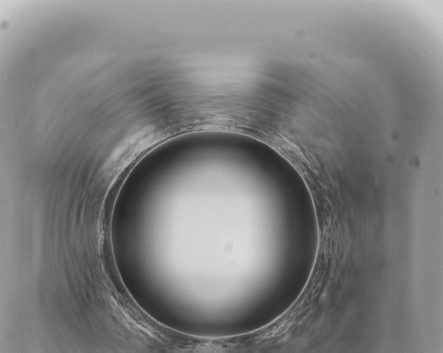 X0000088610290200706011234