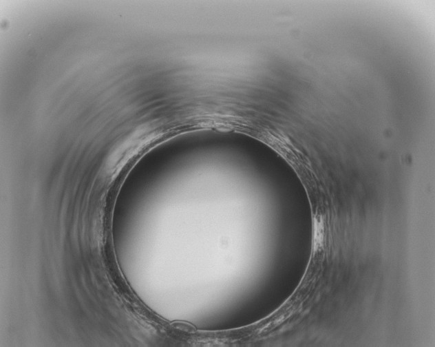 X0000088610291200706011234