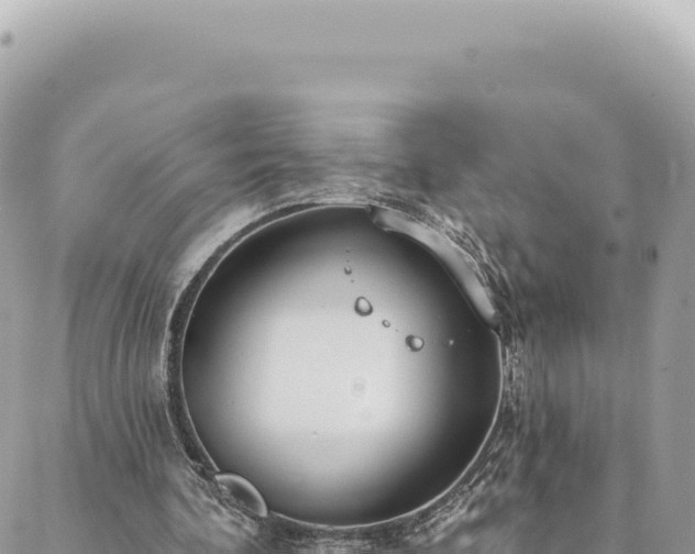 X0000088610292200706011234