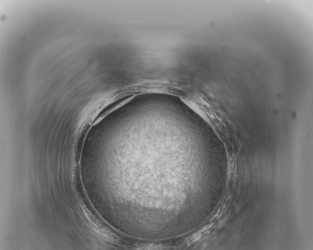 X0000088610293200706011234