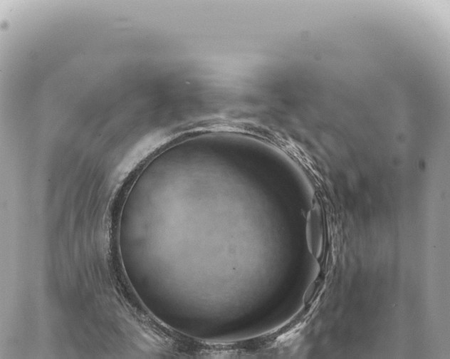 X0000088610295200706011234