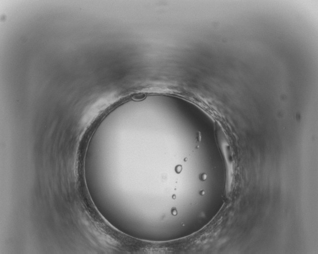 X0000088610296200706011234