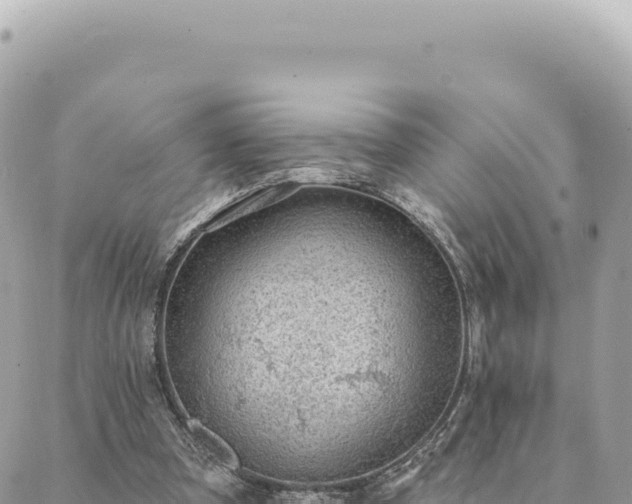 X0000088610297200706011234