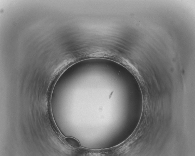 X0000088610298200706011234