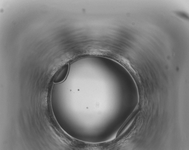 X0000088610299200706011234