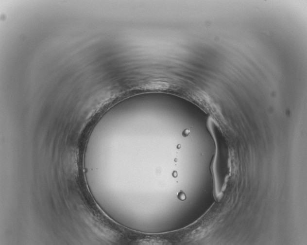 X0000088610300200706011234